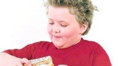 Çocukluk Obezitesinde Yeni Görüşler